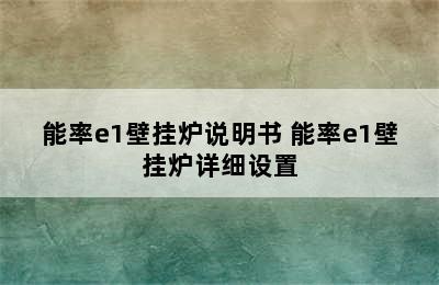 能率e1壁挂炉说明书 能率e1壁挂炉详细设置